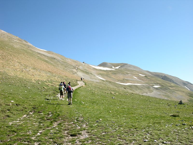 55257-coppa12.jpg
