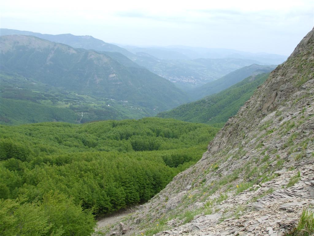 55519-foto-024-medium.jpg