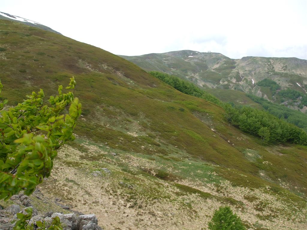 55520-foto-025-medium.jpg
