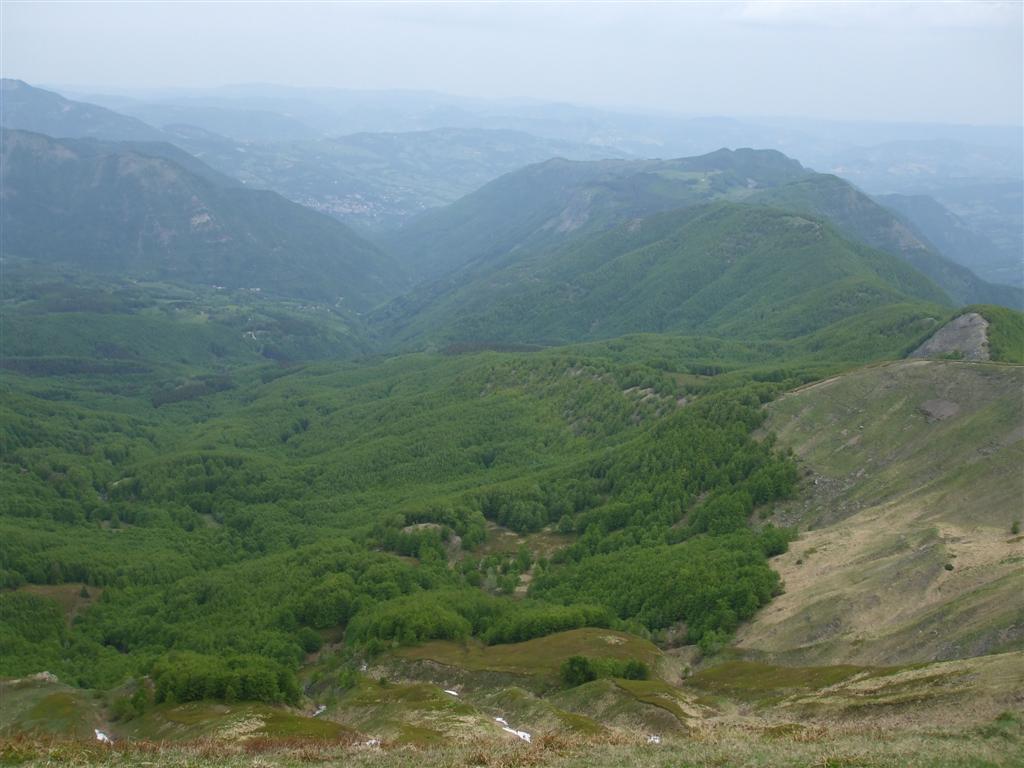 55524-foto-039-medium.jpg