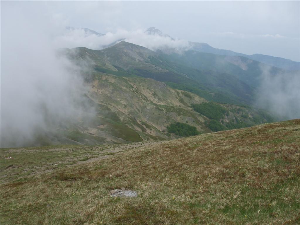 55525-foto-042-medium.jpg