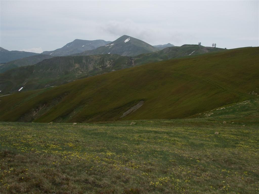 55526-foto-043-medium.jpg