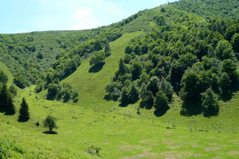 55595-triangolo11.jpg