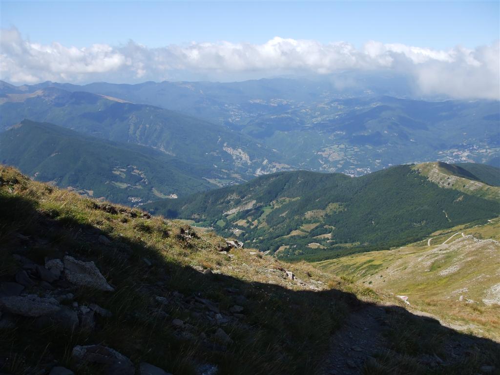 55619-dscf0637-medium.jpg