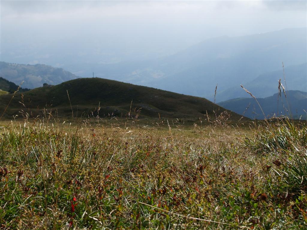 55624-dscf0600-medium.jpg