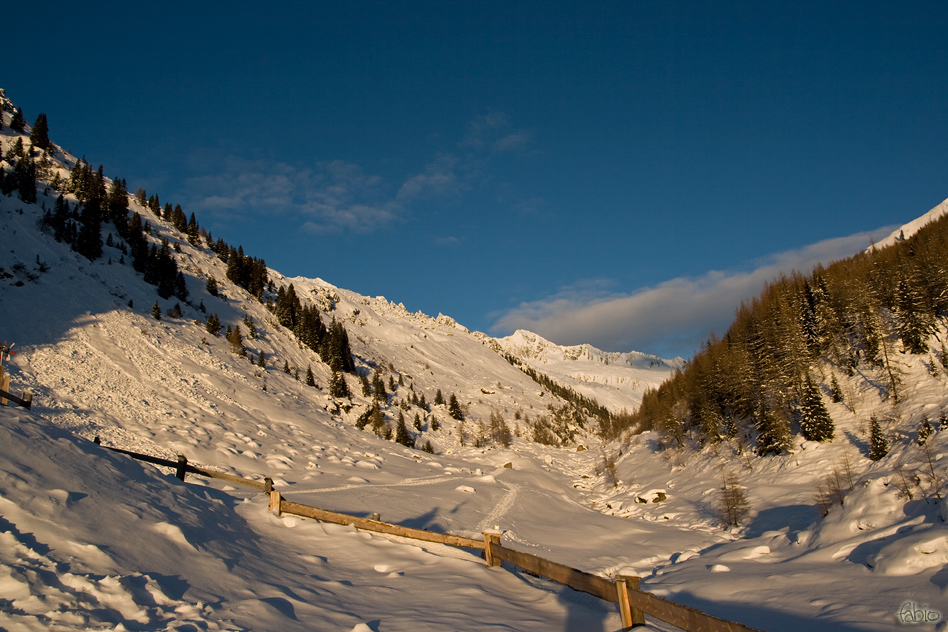 55677-colori-neve-aurina.jpg