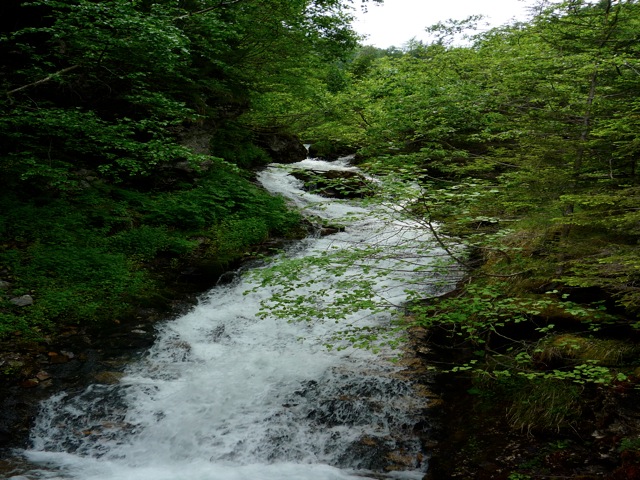 55703-p1040166.jpg