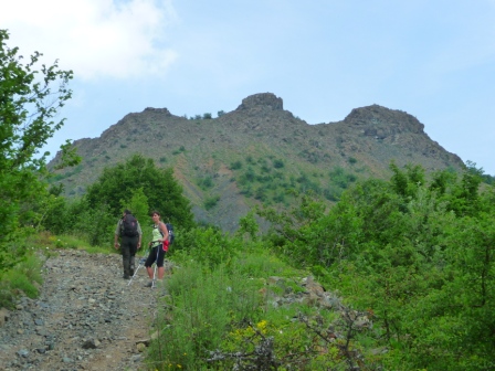 55842-p1060201.jpg