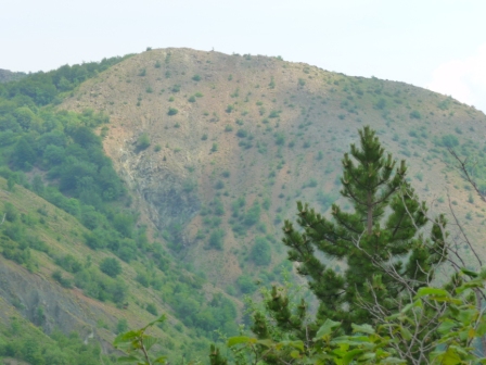 55843-p1060203.jpg