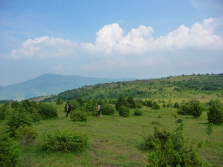 55846-p1060221.jpg