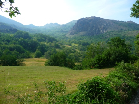 55850-p1060238.jpg