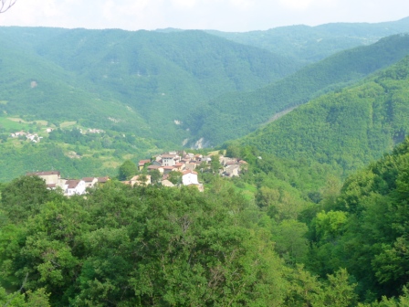 55851-p1060245.jpg
