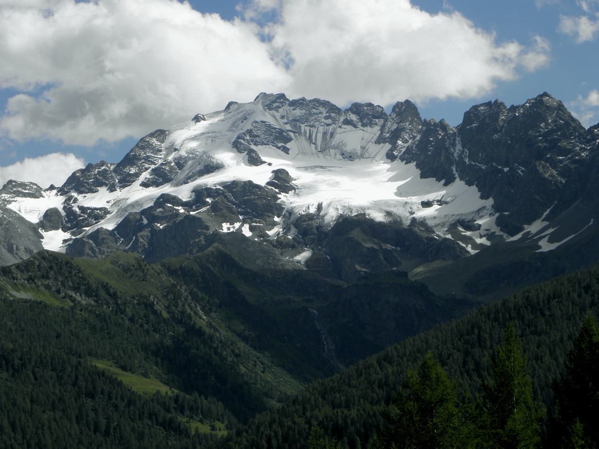 56461-582.jpg