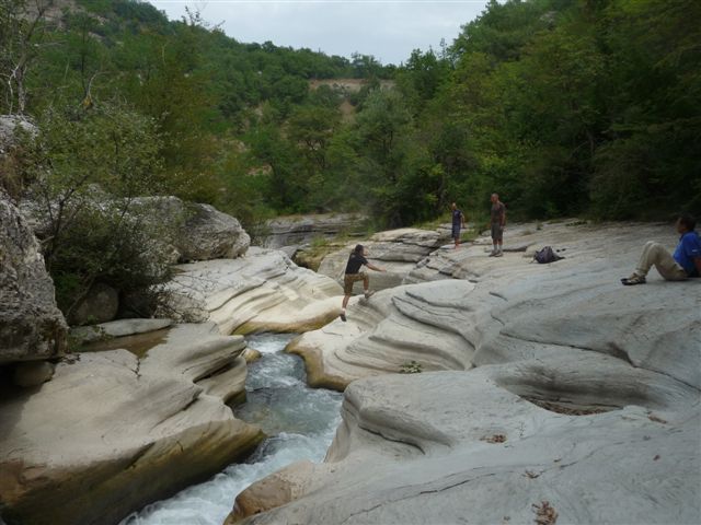 56569-p1060457.jpg