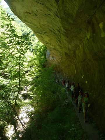56570-p1060512.jpg