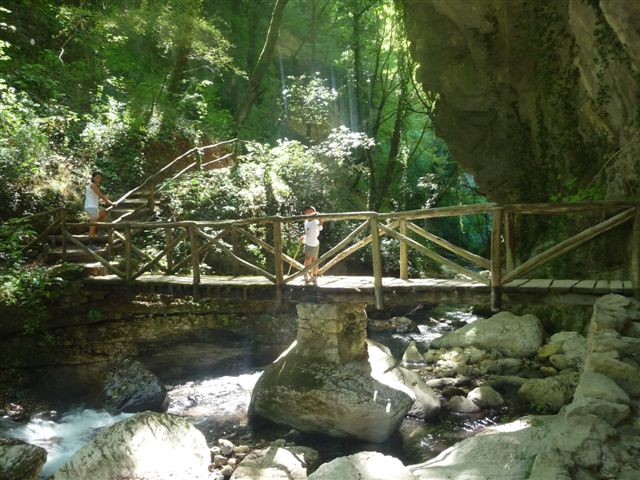 56571-p1060547.jpg
