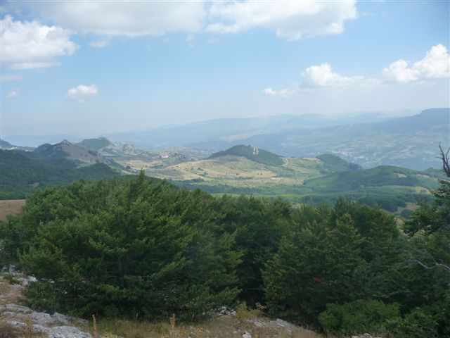 56572-p1060667.jpg