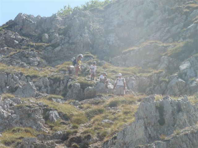 56580-p1060606.jpg