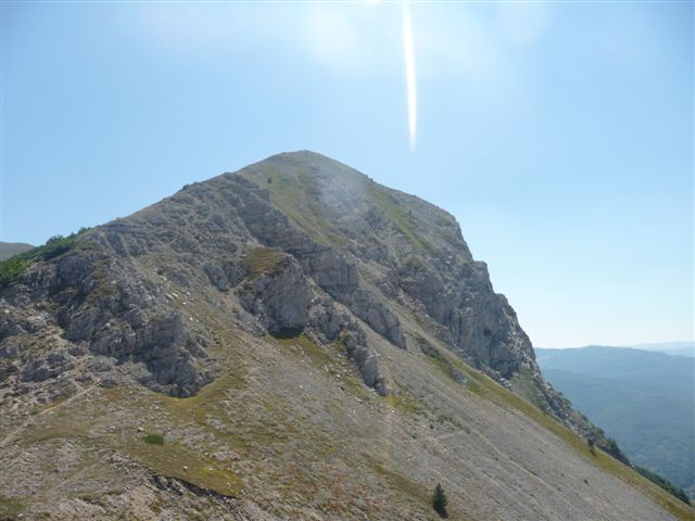 56581-p1060609.jpg