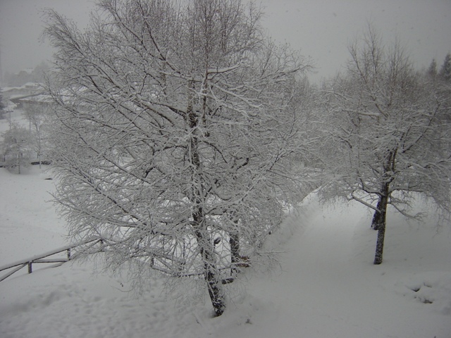5667-inverno-scorso-febb-marzo.jpg