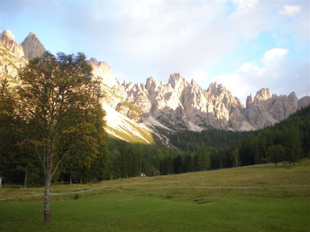 56837-varie-042.jpg