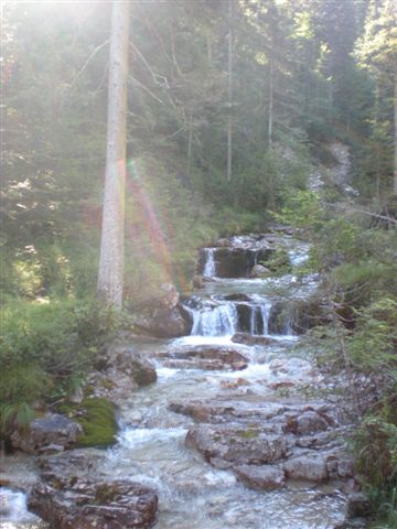 56840-varie-064.jpg