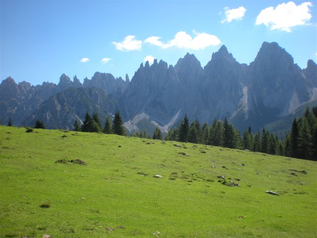 56841-varie-086.jpg