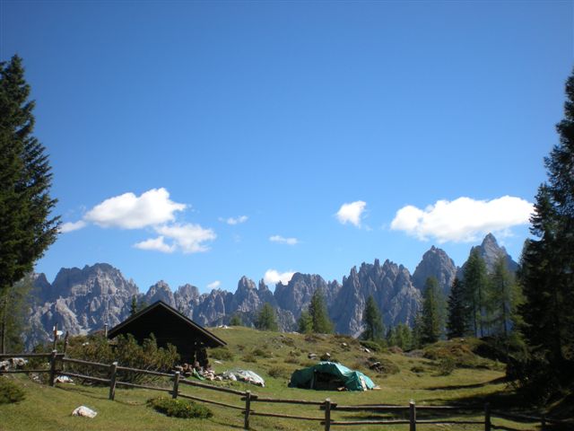 56842-varie-090.jpg