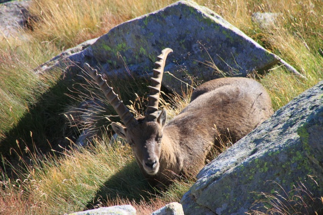 56888-013.jpg