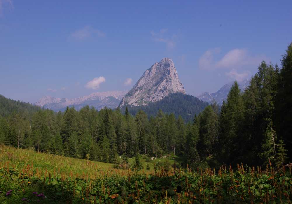 57001-imgp2397.jpg