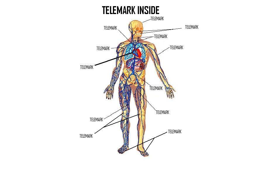 57780-telemarkinside.jpg