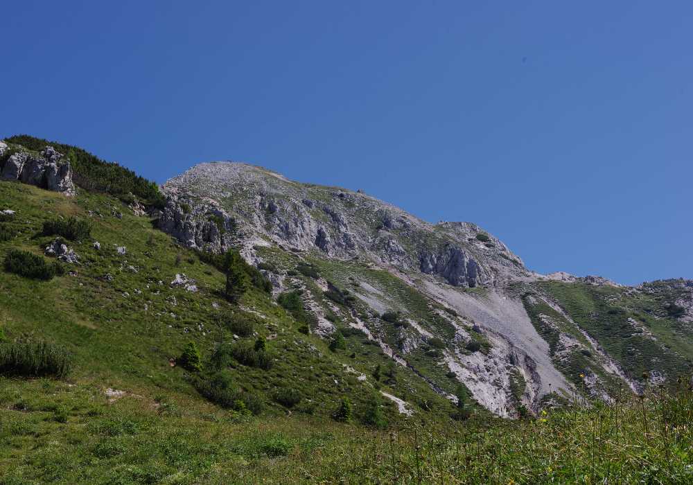 58378-imgp2328.jpg