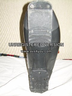 58389-d.jpg