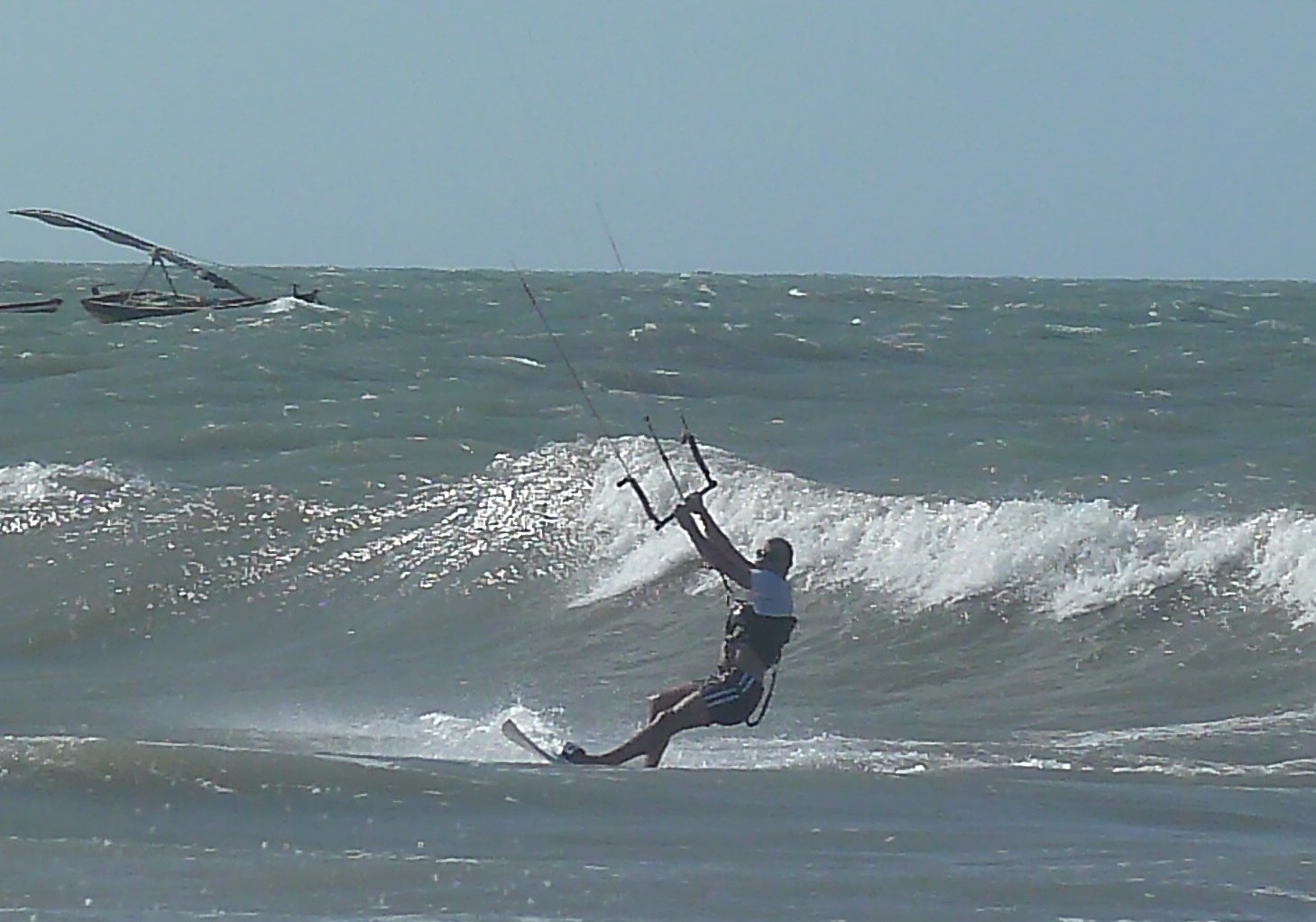 58484-copia-6-di-p1020589.jpg