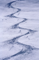 59369-esm3738.jpg