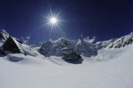 59370-esm5018.jpg