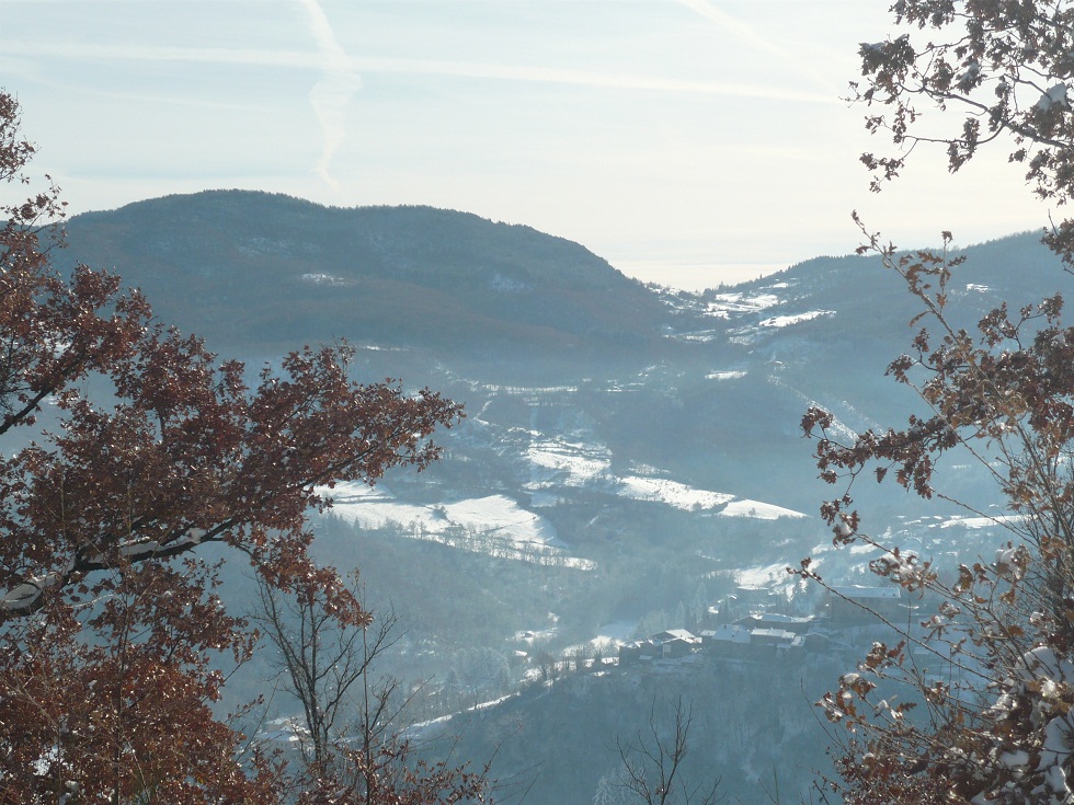 59611-terza.jpg