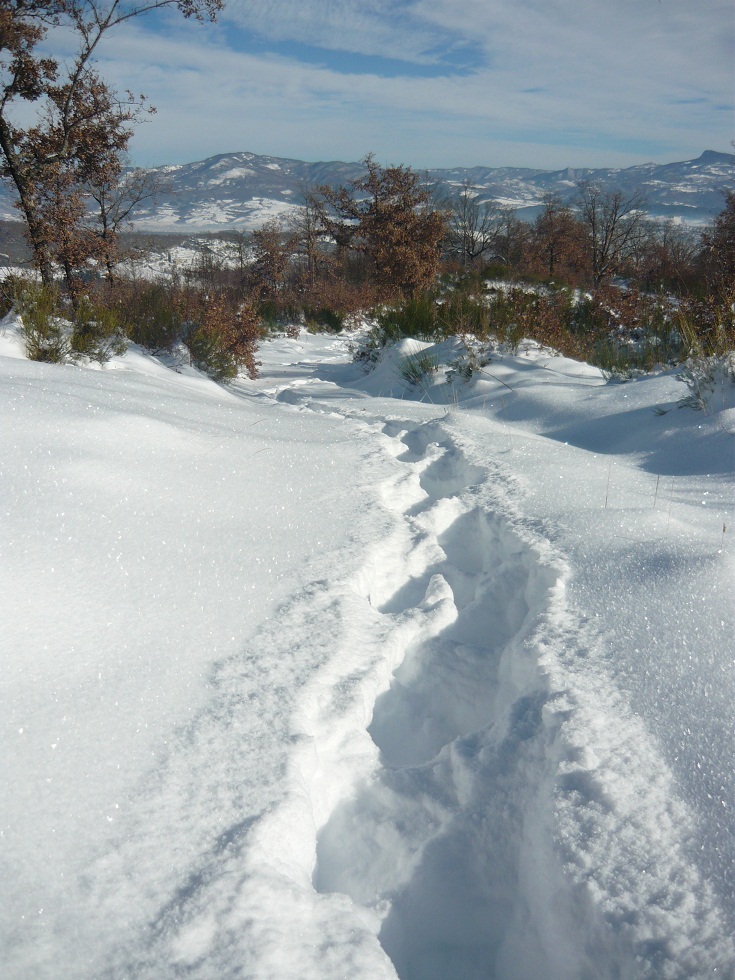 59612-tracce.jpg