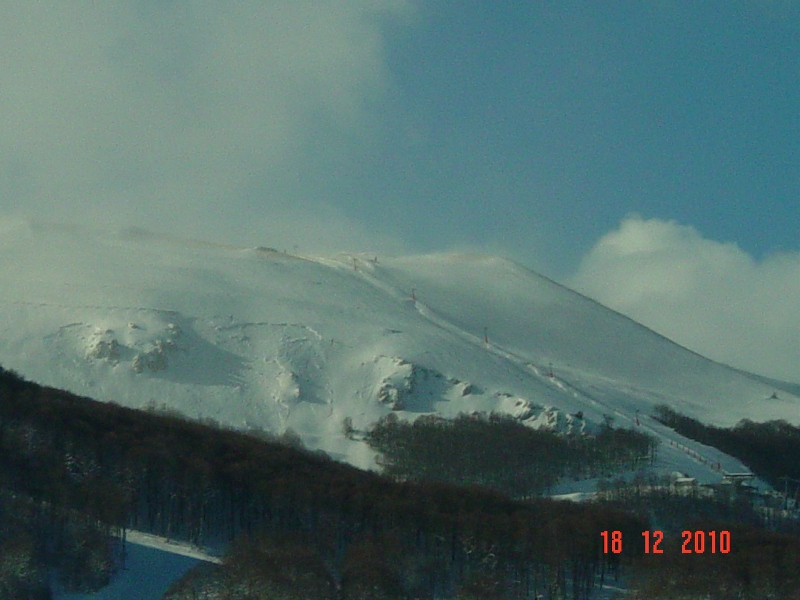 59626-dsc04340rid.jpg