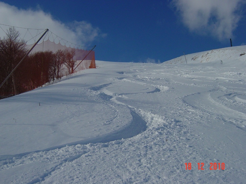 59628-dsc04365rid.jpg