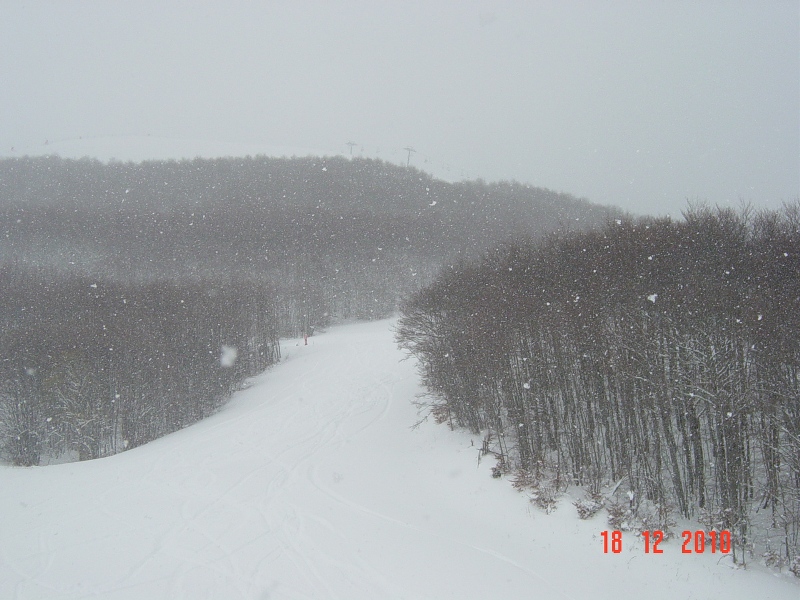 59631-dsc04378rid.jpg