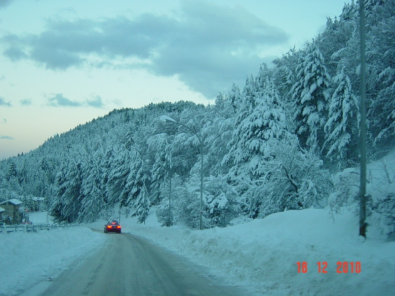 59632-dsc04399rid.jpg