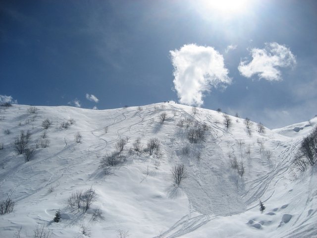 60318-245271380859874881103346654211727306626178n.jpg