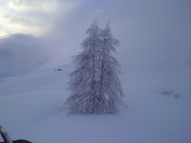 60333-foto0002.jpg