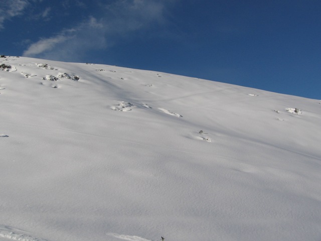 6200-img3914.jpg