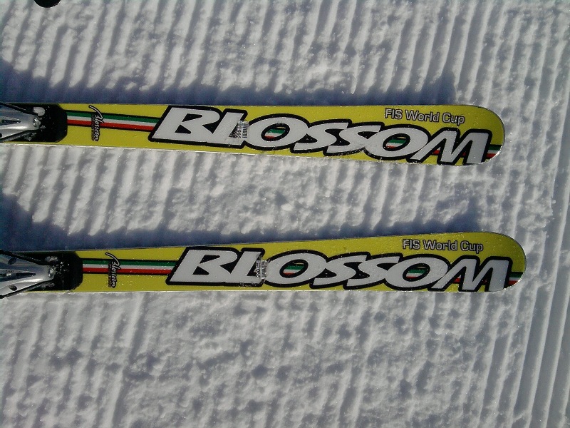 62236-blossomoverlimitx1.jpg