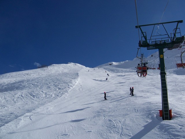 62990-65817894.jpg