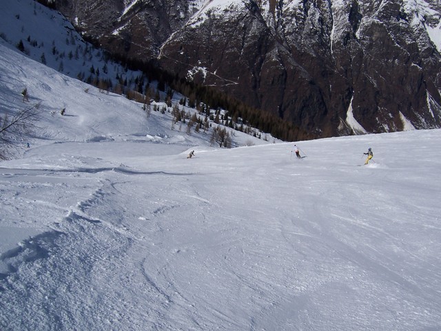 62992-35786452.jpg