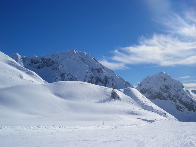 63001-imgp0112.jpg