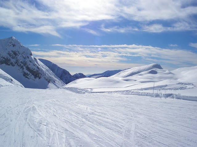 63002-imgp0110.jpg